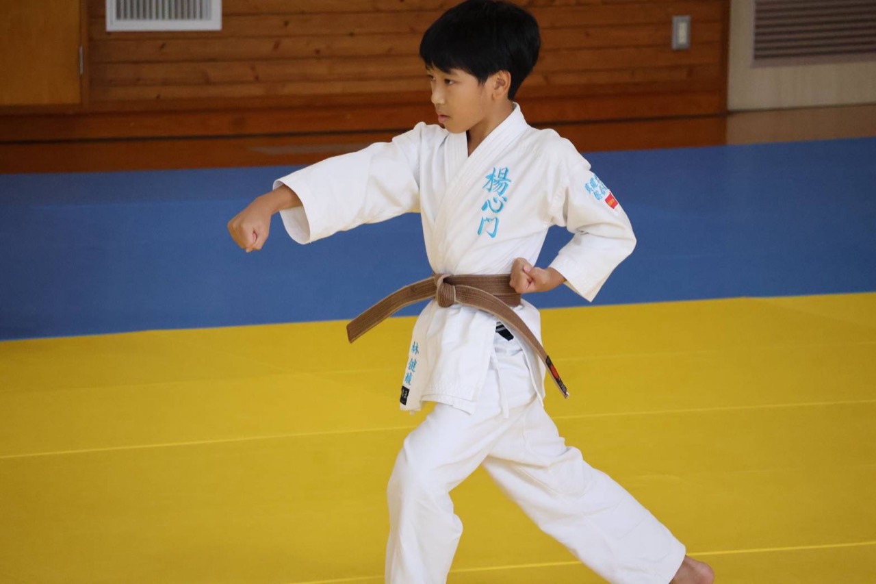 茶帯を締め前屈立ちから技を決める小学生の門下生