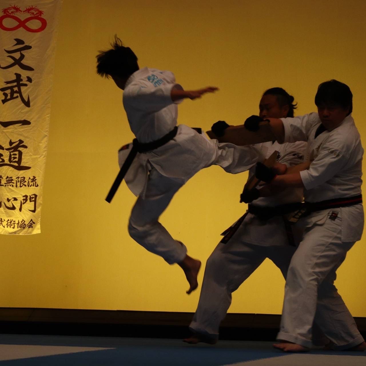 飛び蹴りの演武